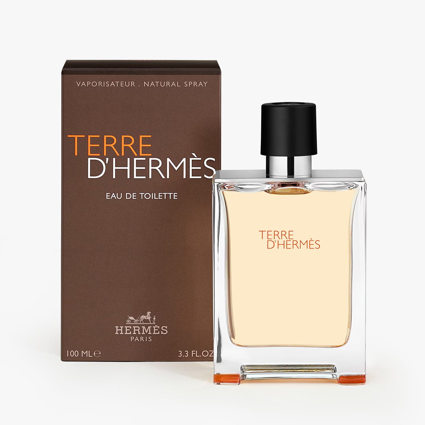 Terre d'Hermès - Eau de Toilette - 100ml