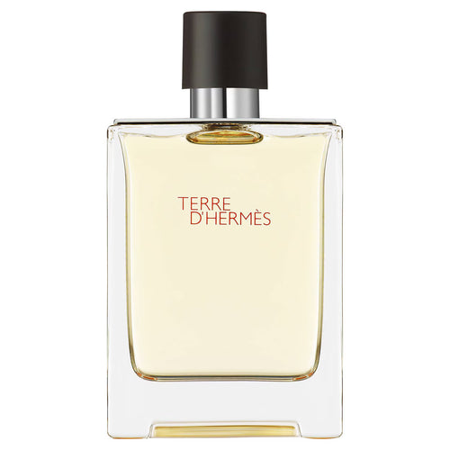 Terre d'Hermès - Eau de Toilette - 100ml