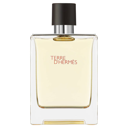 Terre d'Hermès - Eau de Toilette - 100ml